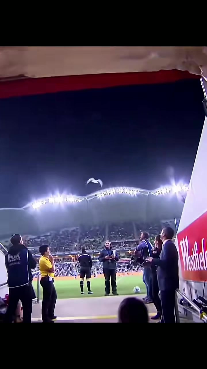 足球赛场上发生的惊喜瞬间令人感动的简单介绍 足球赛场上发生的惊喜瞬间令人感动的简单介绍