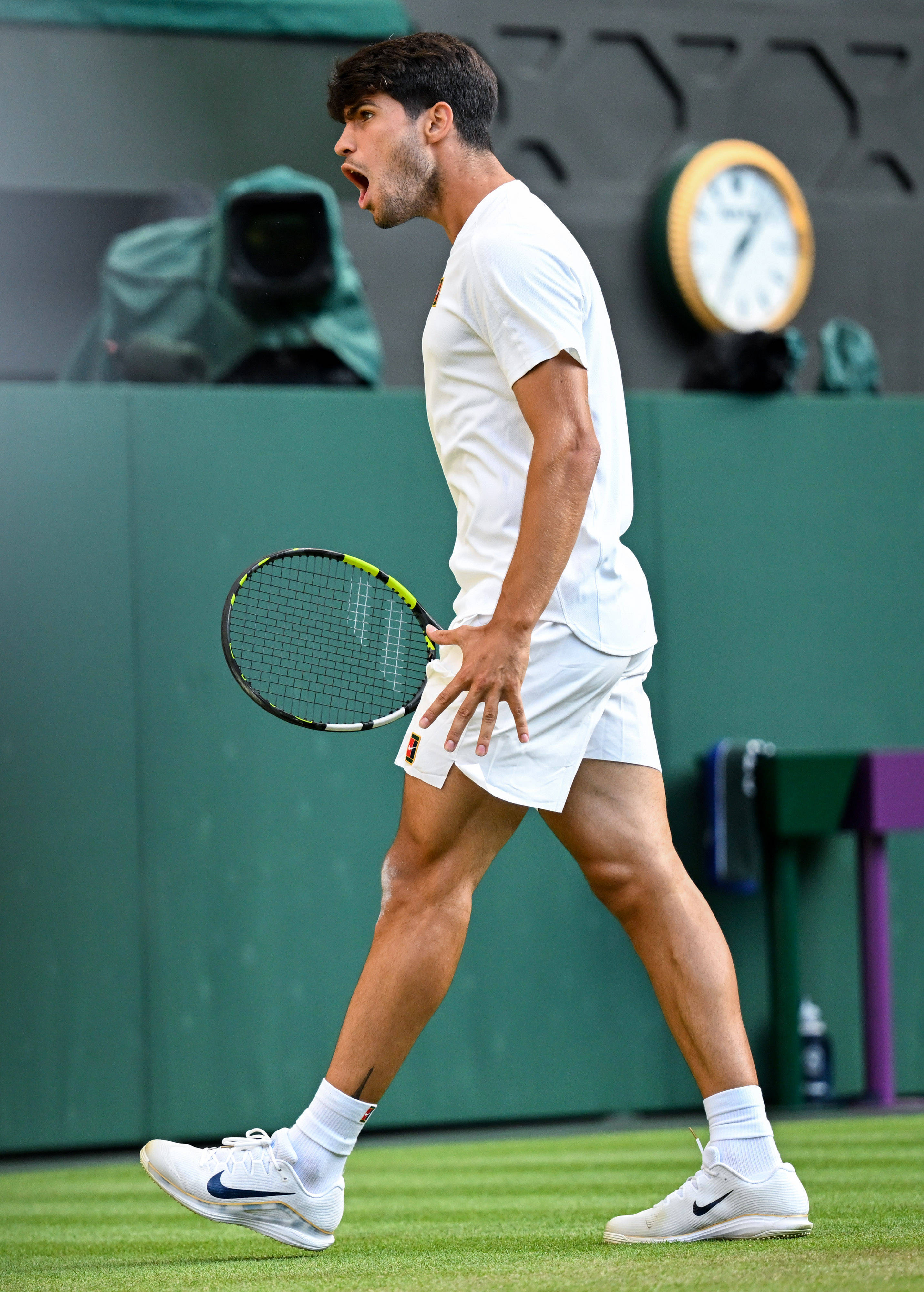 温网横扫ATP总决赛，阿尔卡拉斯统治全场的简单介绍