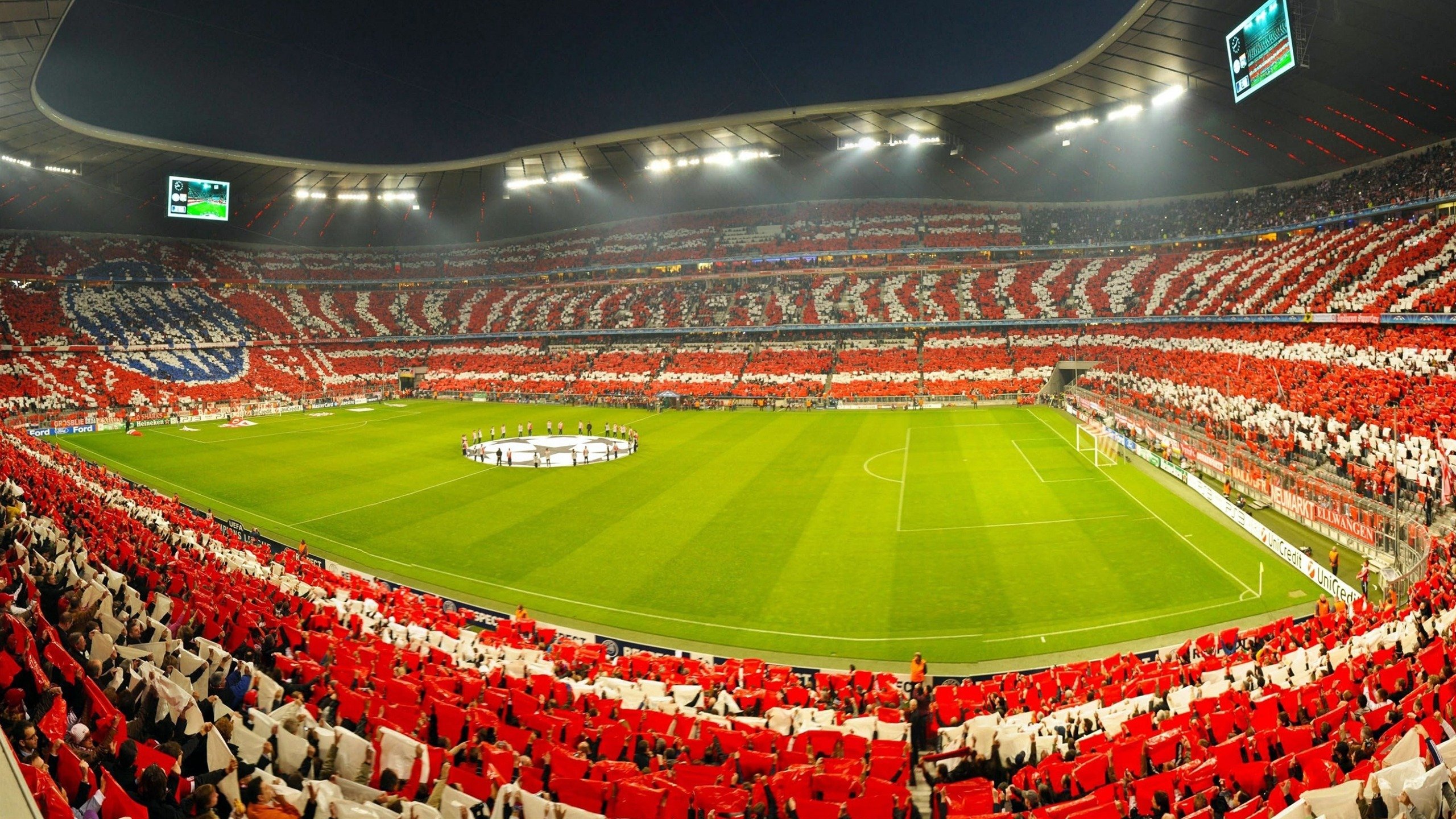 赛道上的双重风暴，红牛碾压与诺里斯点燃